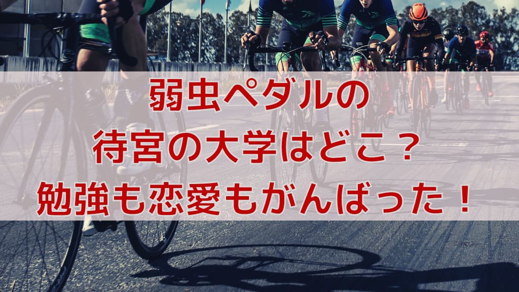 弱虫ペダルの待宮の大学はどこ 勉強も自転車も恋愛もがんばった 人気漫画マニアック情報ブログ